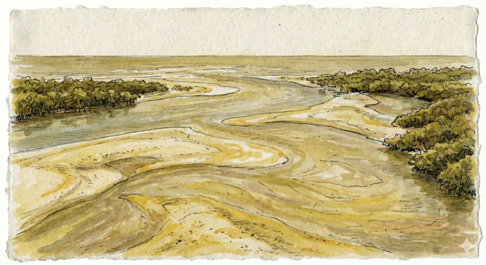 Midnight Pass (Siesta Key/Osprey)